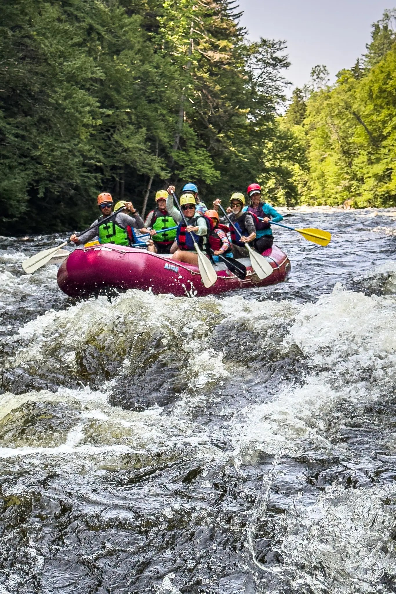 Late-Summer Adventures: Waterfalls, Wildlife & Walks Near Hotel Saranac