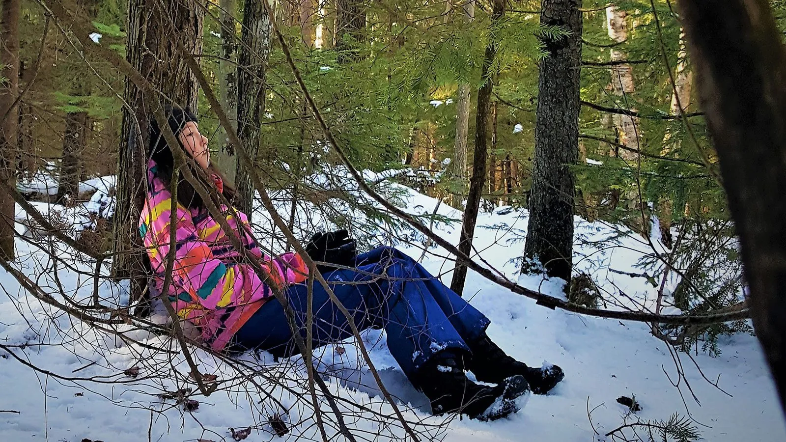 Wildlife Watching in the Winter: Adirondack Species to Spot